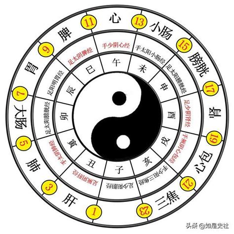 八卦兩儀|易經入門：太極、兩儀、四象、八卦是什麼意思？